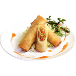 Plain Spring Roll 